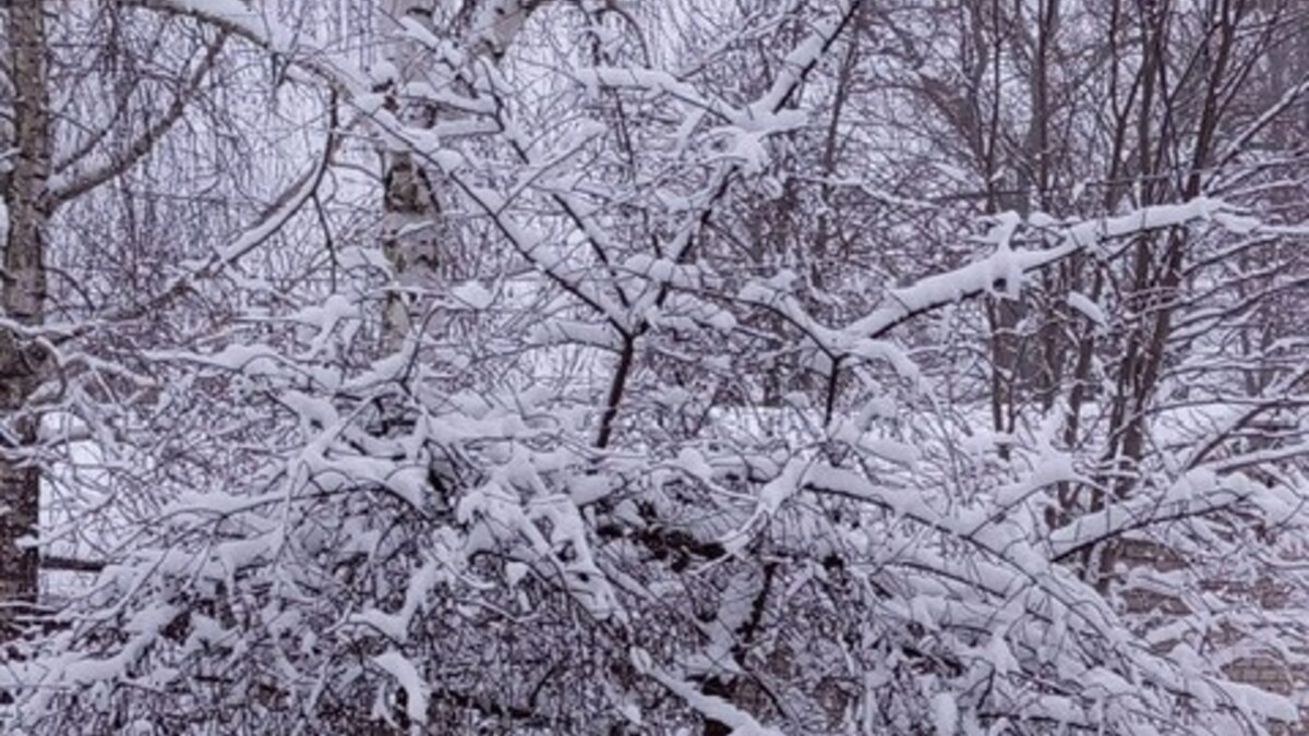 PHOTO-2025-11-27-07-44-03