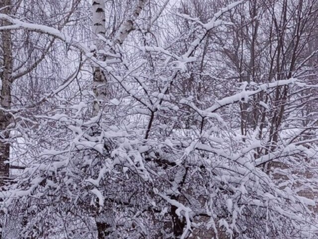 PHOTO-2025-11-27-07-44-03